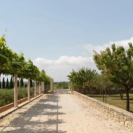 Albina & Domenica ヴィラ ザダル