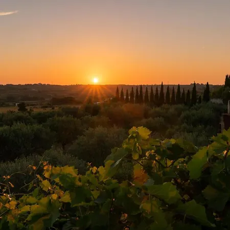 Albina & Domenica * ザダル